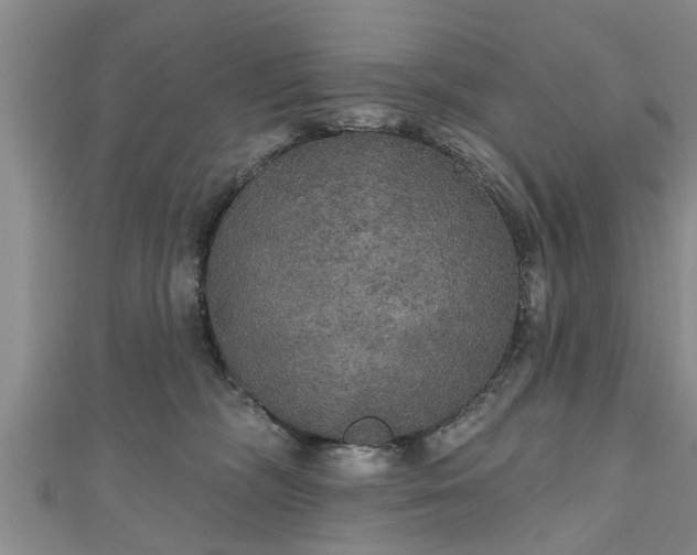 X0000111170326200907081220