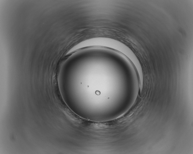 X0000111170327200907081220