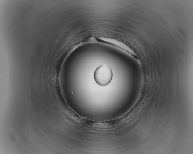 X0000111170328200907081220