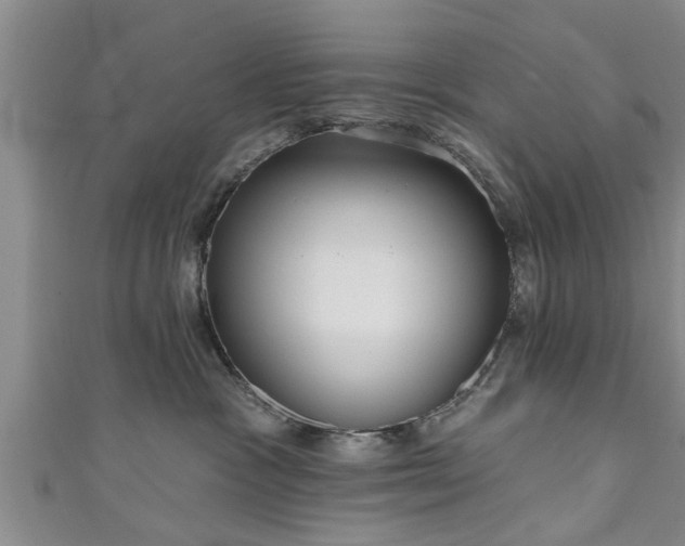 X0000111170333200907081220