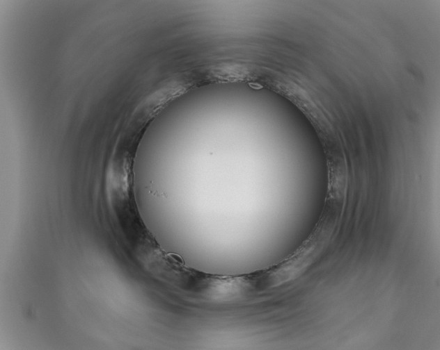 X0000111170334200907081220