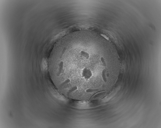 X0000111170335200907081220