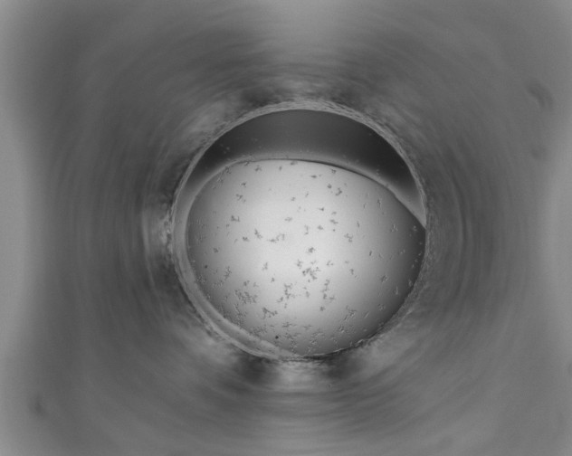 X0000111170336200907081220
