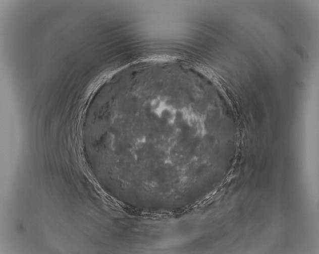 X0000111170337200907081219