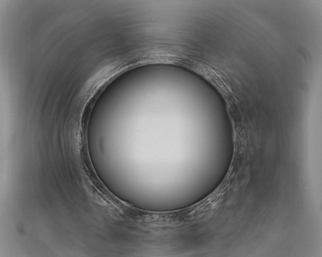 X0000111170338200907081219