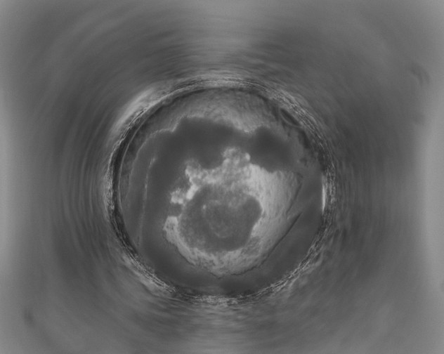 X0000111170339200907081219