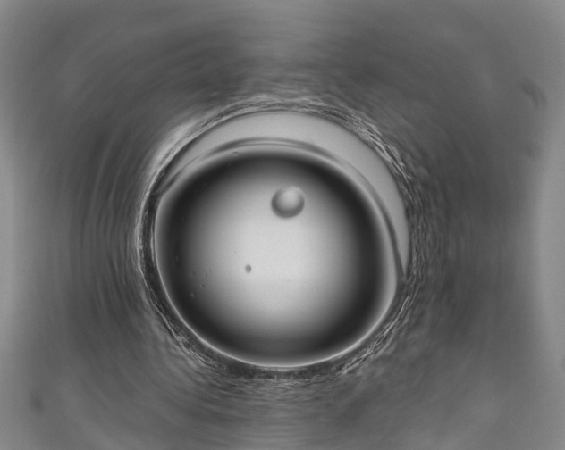 X0000111170340200907081219