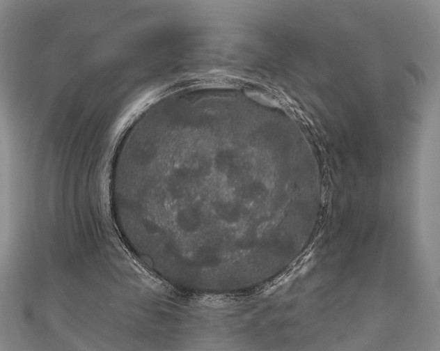 X0000111170341200907081219