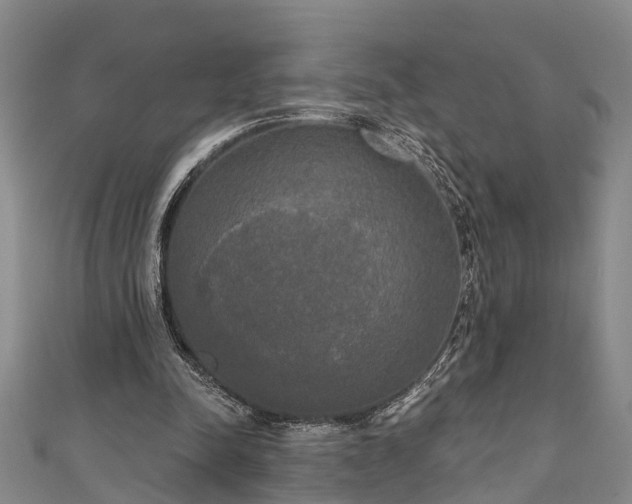 X0000111170342200907081219