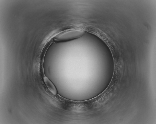 X0000111170344200907081219