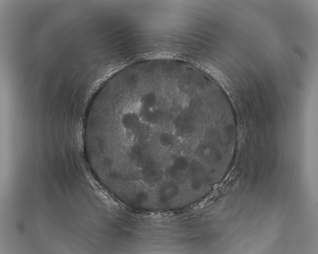 X0000111170345200907081219