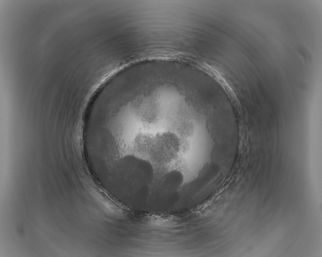 X0000111170346200907081219