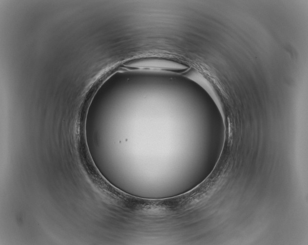 X0000111170348200907081219