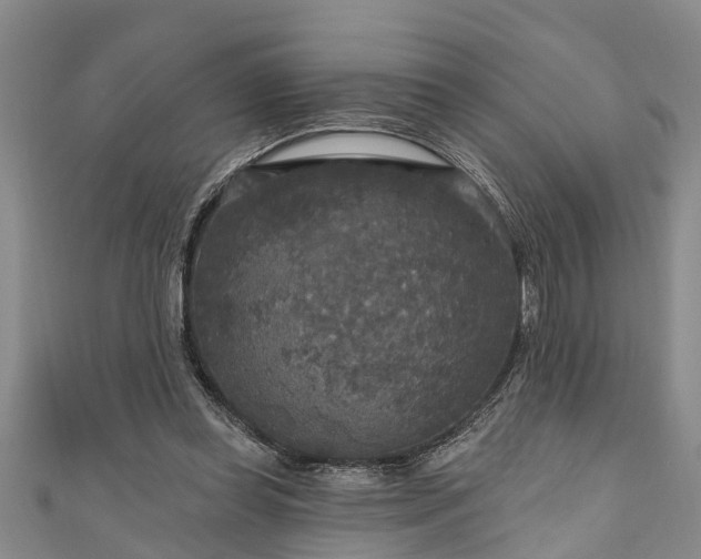 X0000111170349200907081219