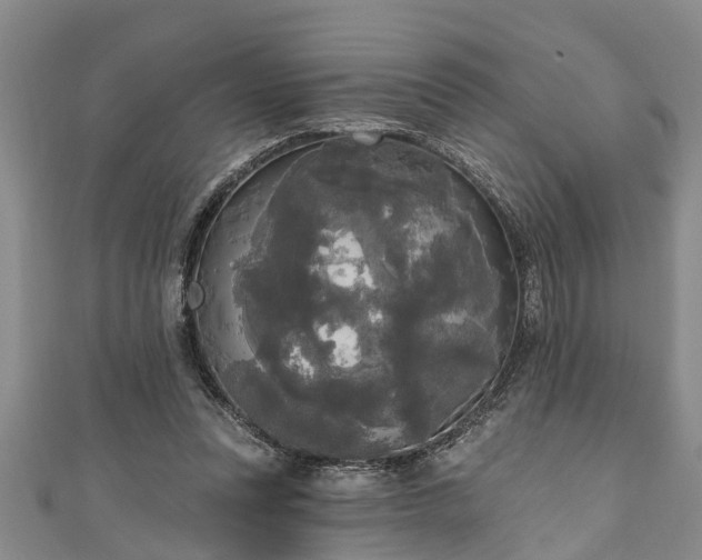 X0000111170351200907081219