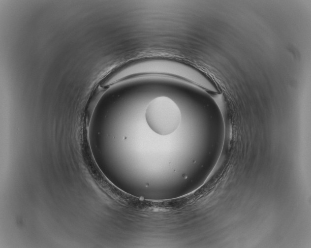 X0000111170352200907081219