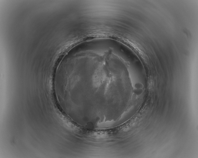 X0000111170353200907081219