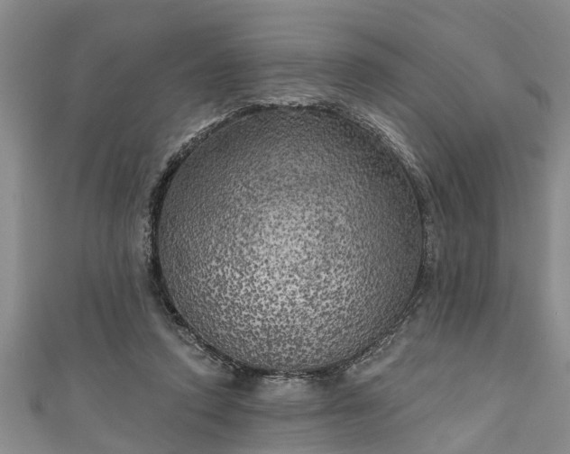 X0000111170354200907081219