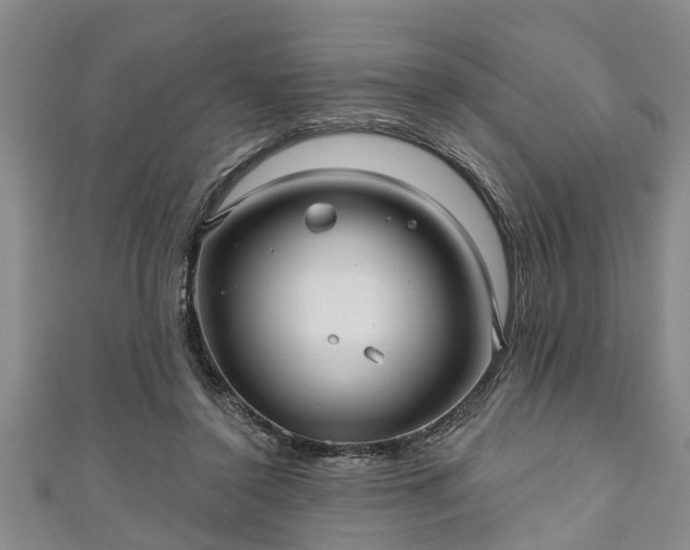 X0000111170356200907081219