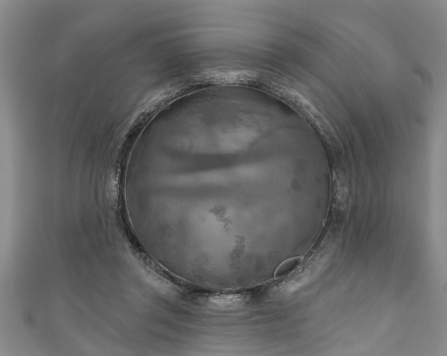 X0000111170357200907081219