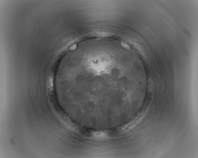 X0000111170358200907081219