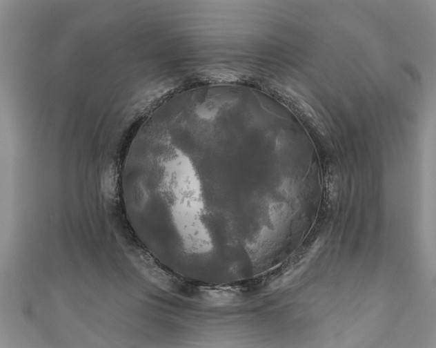 X0000111170359200907081219