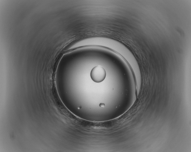 X0000111170360200907081219