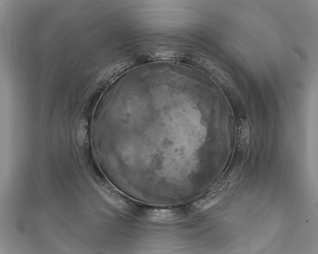 X0000111170361200907081219