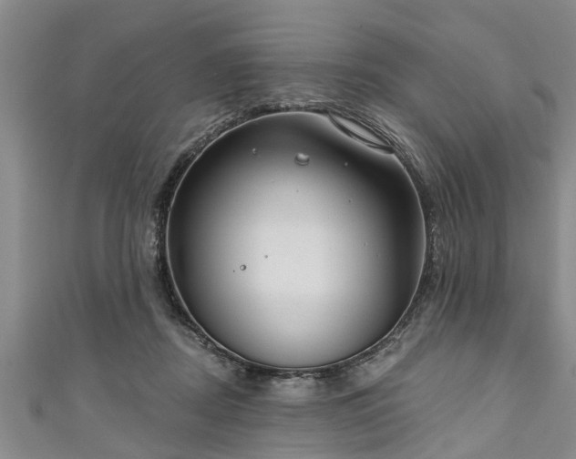 X0000111170362200907081219