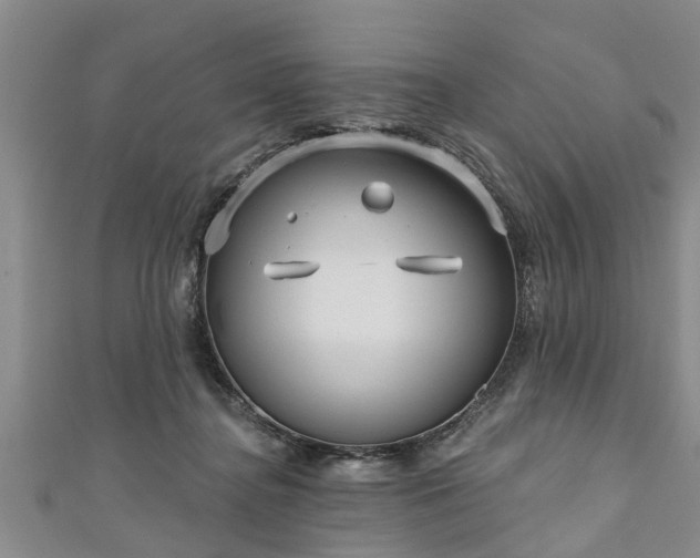 X0000111170364200907081219