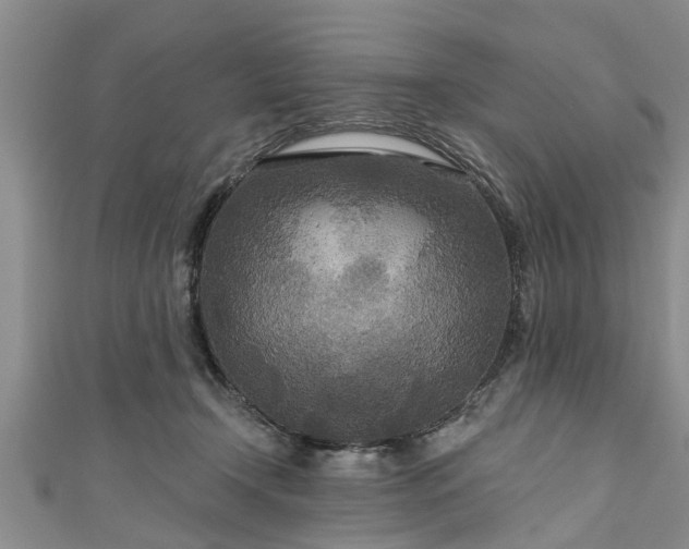 X0000111170366200907081219