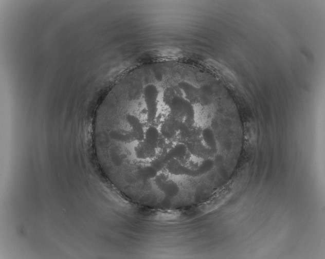 X0000111170369200907081219