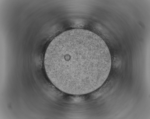 X0000111170370200907081220