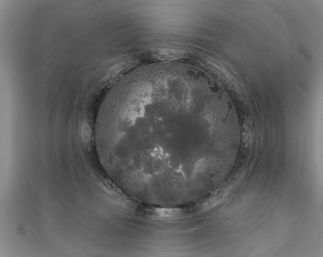 X0000111170371200907081220