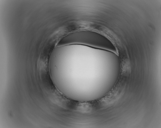 X0000111170376200907081220