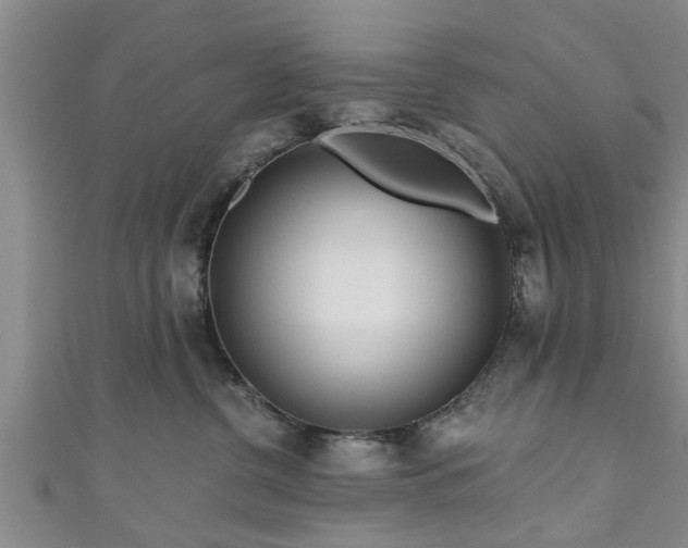 X0000111170380200907081220