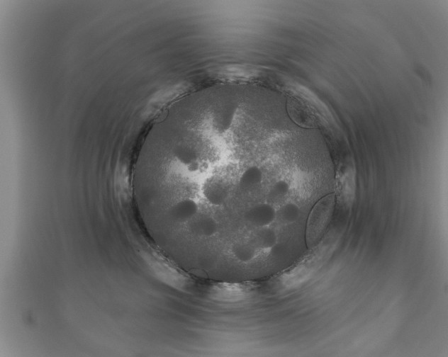 X0000111170381200907081220