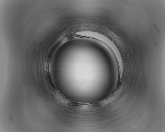 X0000111170382200907081220