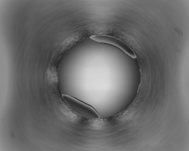 X0000111170384200907081220