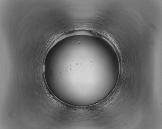 X0000111170385200907081219