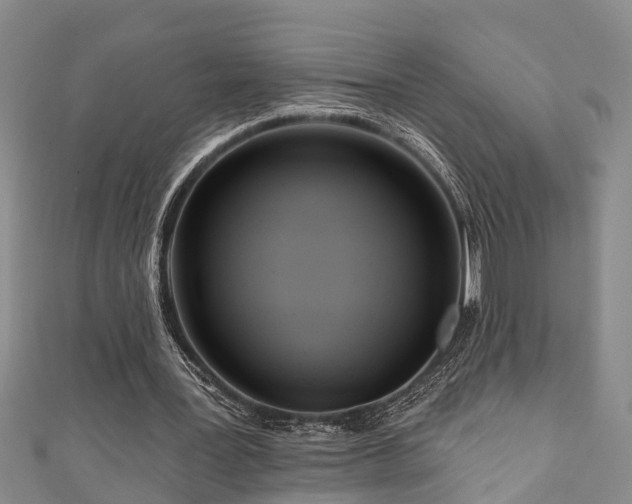 X0000111170387200907081219