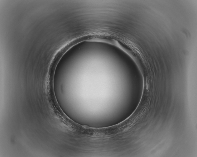 X0000111170388200907081219