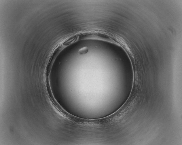 X0000111170389200907081219