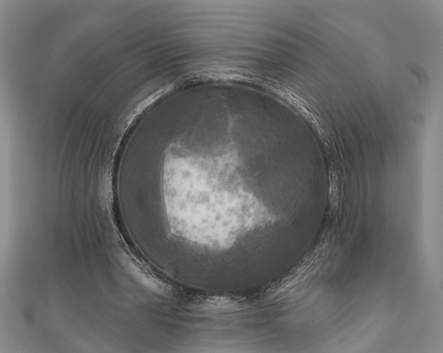 X0000111170390200907081219