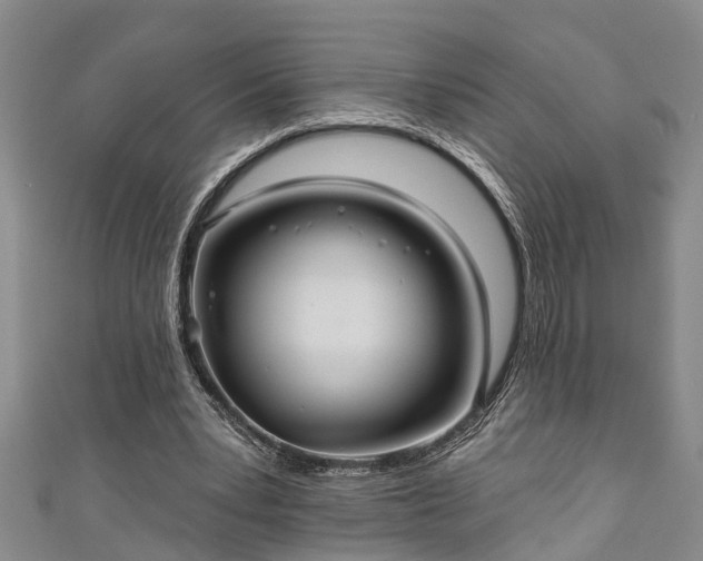 X0000111170391200907081219