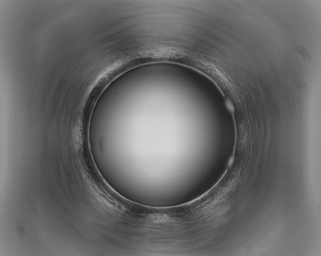 X0000111170392200907081219