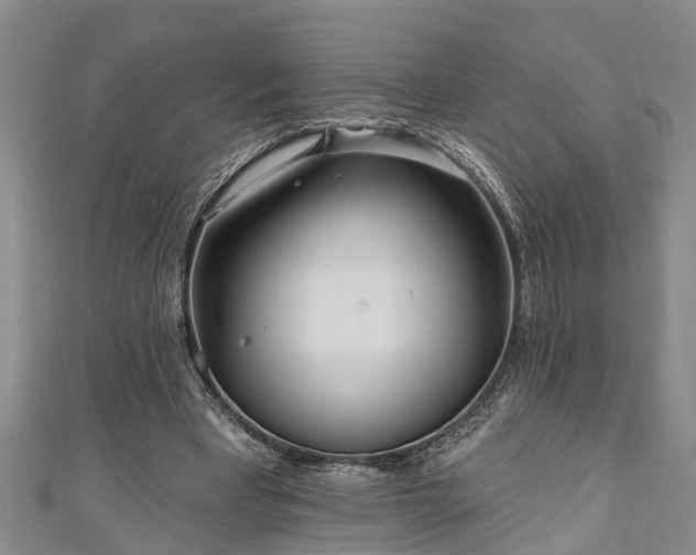 X0000111170393200907081219