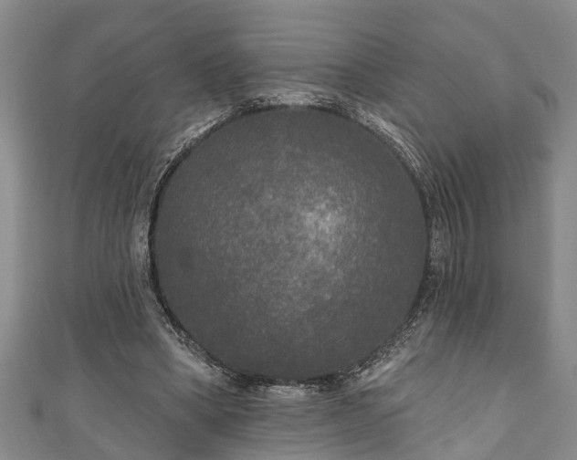 X0000111170394200907081219