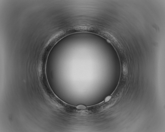 X0000111170396200907081219