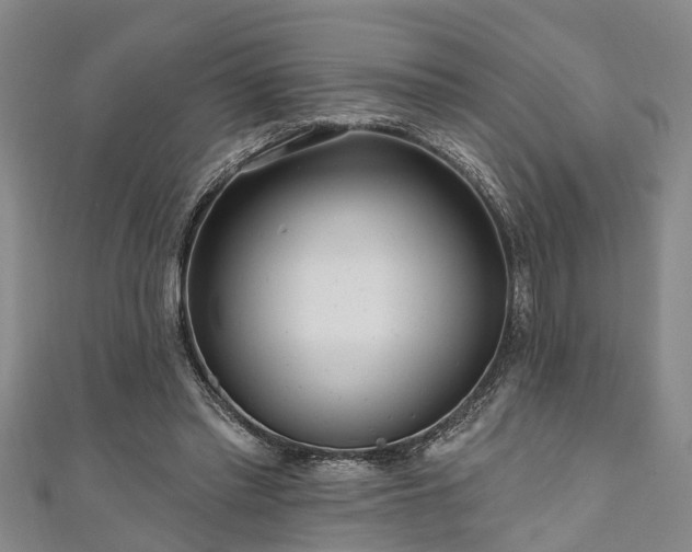 X0000111170397200907081219